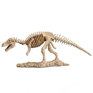 Modèle de squelette fossile rétro de Tyrannosaurus Rex sur socle pour bureau