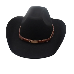 Classic black western cowboy hat with brown braided band and golden feather metal accent