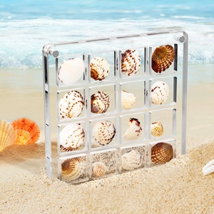 Close-up of a 16-slot transparent acrylic display box on a beach for shell collections
