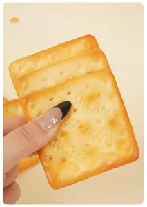 Dettaglio macro di un portachiavi a forma di cracker al sale in PVC con rilievo