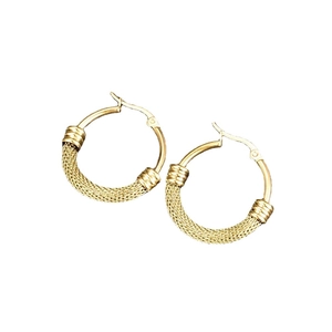 Boucles d'oreilles créoles tendance en acier inoxydable plaqué or 18 carats pour femme