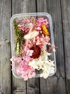 Macro shot of assorted dried flowers including hydrangea and pine needles in a clear box