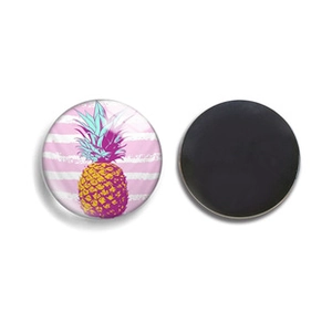 Macro detail of round pineapple fridge magnets with glass dome and magnetic black back