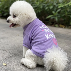 Detail of a white dog wearing a light purple T-shirt with I GIVE Free KISSES slogan