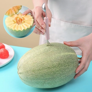 Cuillère à melon double tête en acier inoxydable avec poignée ergonomique rose