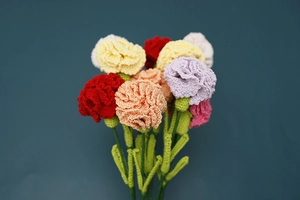 Detailed view of handmade crochet carnation flowers in vibrant yarn colors with green stems