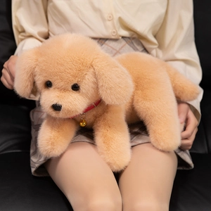Cute beige Labrador plush puppy toy with a red collar and golden bell sitting on lap
