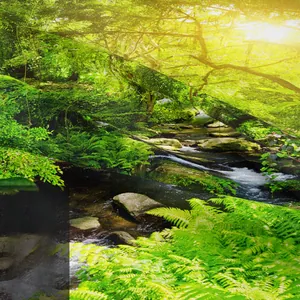 Detail shot of forest stream print on bohemian tapestry showing vivid green ferns and mossy rocks