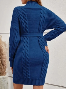 Navy blue knit maternity sweater dress with turtleneck and belt, rear model view