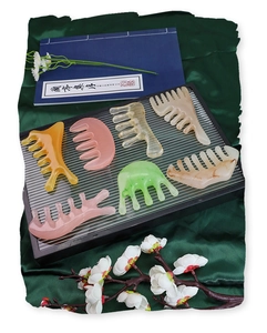 Detailed set of wide-tooth scalp massage combs in seven various colors and textures