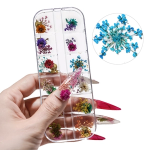 Detailed view of 12-slot nail art dried flower box with colorful hydrangea and daisies