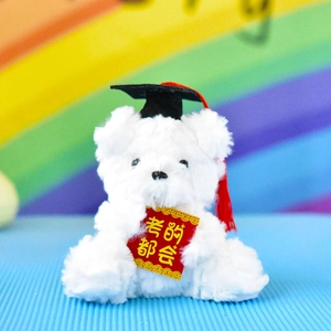 Primo piano di un orsetto di peluche per la laurea con un biglietto di auguri per esami
