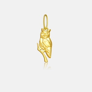 Detailed close-up of a golden owl pendant with a polished finish on white background