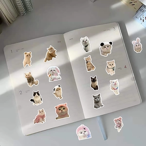 Cute realistic cat stickers set on a notebook, featuring various kittens in small outfits