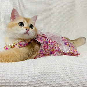 Close-up of cat wearing a floral pet dress with lace mesh and pearl necklace decor