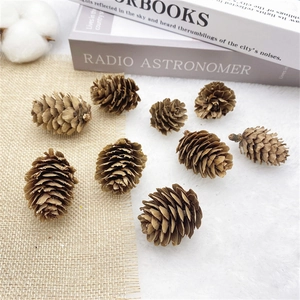 Natural dried pine cones in various sizes arranged on white fleece and burlap fabric