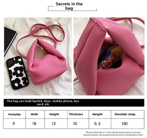 Detailed size guide and pink pleated cloud bag dimensions with leather texture features