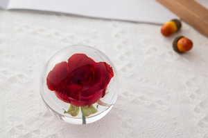 Macro shot of a red preserved rose encased in a clear crystal ball paperweight