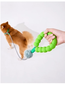 Detail of green foam bubble handle and plush ball on pet dog leash with Shiba Inu