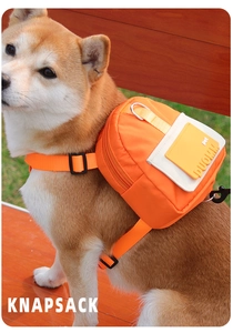 Detail of bright orange pet backpack with D-ring on Shiba Inu in outdoor setting