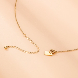 Collier minimaliste en acier inoxydable doré avec fermoir réglable et chaîne d'extension