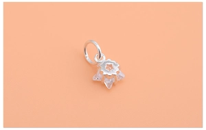 Macro detail of a 925 sterling silver star pendant set with sparkling cubic zirconia stones