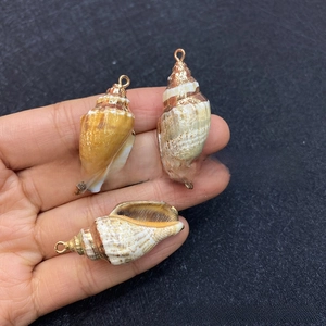 Detailed close-up of natural seashell pendants with golden loops for jewelry making