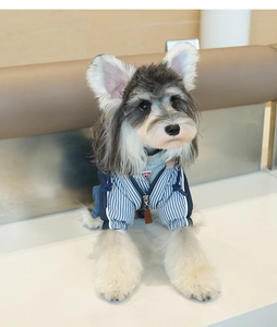 Detail view of dog winter jacket featuring blue white stripes and hooded drawstring design