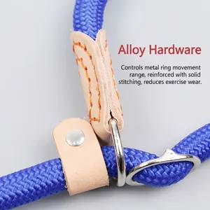 Blue nylon braided dog slip lead with orange stitched leather and alloy metal ring