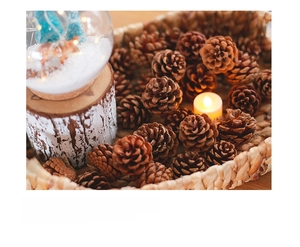 Close-up of glass elk globe on bark base with pine cones in a woven basket