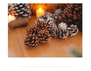 Macro detail of natural pine cones with snow effect on rustic wood with warm candle light