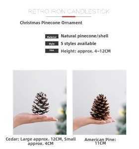 Macro detail of natural pine cones for Christmas decor showing size with hand reference