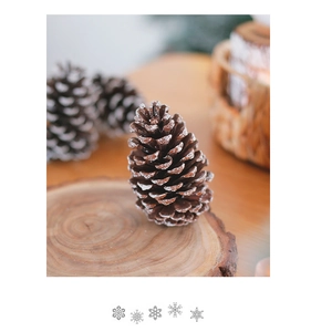 Natural brown pine cone with snow frosting on a rustic wood slice display