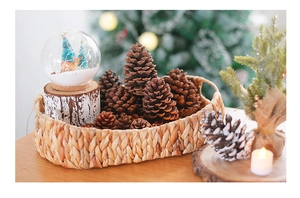 Detail of Christmas DIY decor set with natural pine cones and warm LED snowball lamp