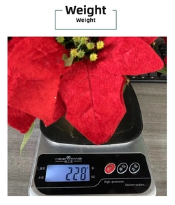 Detail showing the weight of a red poinsettia Christmas potted plant on a digital scale