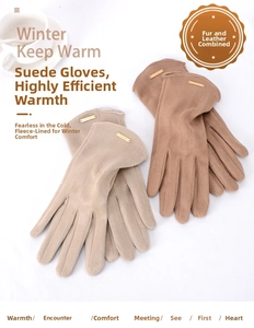 Details warmer Wildlederhandschuhe mit Fleece-Futter und goldener Metallplakette