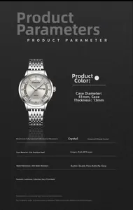 Detail view of 41mm business watch with 316L steel case and luminous dual calendar display