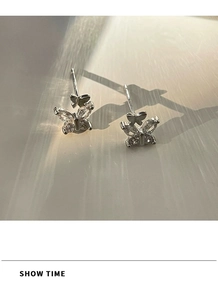 Close-up of butterfly earrings with sparkling cubic zirconia stones in silver finish