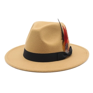 Macro shot of texture detail on camel wool fedora with decorative feather and black ribbon