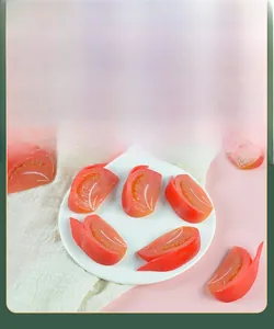 Detailed 1:1 scale artificial tomato slice model showing realistic seeds and texture