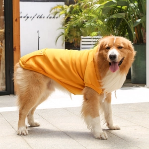 Detail view of yellow dog hoodie with side zipper pocket and white drawstrings on a dog