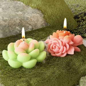 Detailed view of burning succulent and rose-shaped candles on natural moss and stones