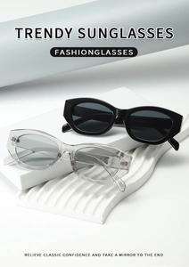 Detail view of black and transparent grey oval sunglasses on white geometric display