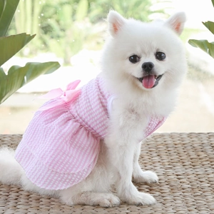 Close-up of pink and white striped pet dress with a sweet bow on a white Pomeranian