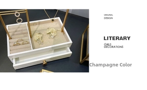 Macro shot of Champagne jewelry organizer box with gold metal frame and ring slots