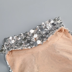 Detail of sheer mesh collar with silver sequins and rhinestone embellishments on the dress