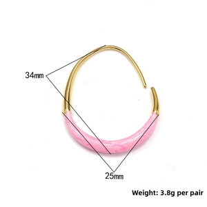 Detail view of 18K gold U-shaped earrings with pink enamel textures and 34x25mm size