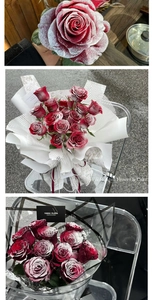 Close-up of frosted red roses with snow spray texture and elegant gift packaging
