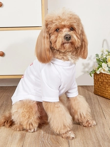 Close-up of breathable mesh fabric on white pet T-shirt with pink heart print
