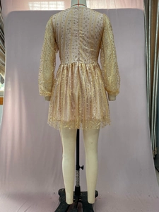Detail des champagnergoldenen Netzkeids mit schimmernden Pailletten und eleganter Taille